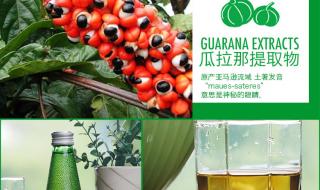 日加满功能饮料 日加满功能饮料